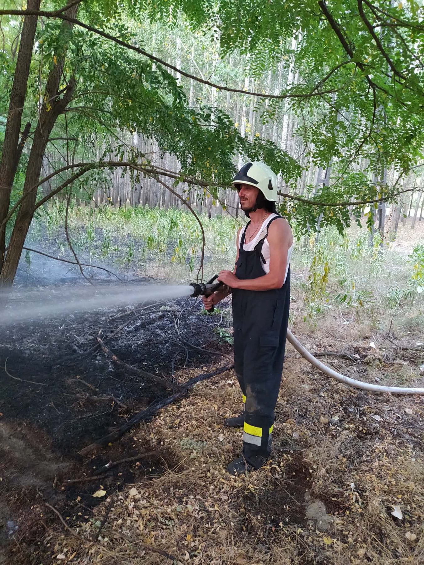 Tűzoltó sisakban, tömlővel olt egy akácos erdő aljnövényzetében.